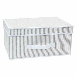 Úložný box s víkem 39 x 29 x 19 cm