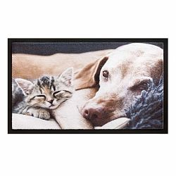 Vopi Rohožka Kitten, 40 x 60 cm