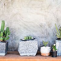 Betonové květináče - hodí se do bytu i do zahrady