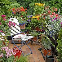 Květiny na balkoně - potěší vás i vaše okolí