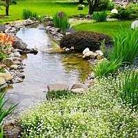 Jak zazimovat zahradní jezírko? Příprava jezírka na zimu