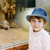 Jak zařídit terárium pro suchozemskou želvu?