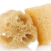 Přírodní houba lufa nejen na nádobí. Kupte si semena, pěstování je jednoduché