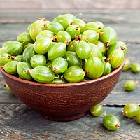 Angrešt: pěstování, jak a kdy sázet, jak a kdy stříhat, nemoci, rozmnožování