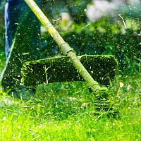 Nejlepší křovinořezy – recenze a test poradí, jak vybrat