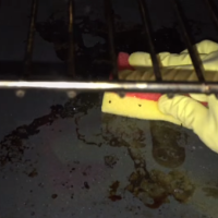 Jak vyčistit troubu? Vyzkoušejte ocet, sodu bikarbonu, prášek do pečiva nebo citron