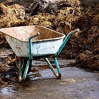 Jak hnojit na podzim zahradu a trávník