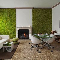 Mechové stěny a obrazy do interiéru