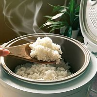 Jak vybrat rýžovar + nejlepší rýžovary Sencor, Russell Hobbs a Tefal