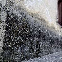 Krémová chemická injektáž zdiva svépomocí? Vyzkoušejte Aqua Stop Cream