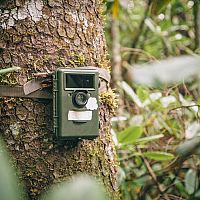 Nejprodávanější fotopasti s WiFi, na sim kartu s GSM? Na zloděje i zvěř