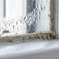 Jak se zbavit plísně v koupelně na silikonu? Přípravek proti plísni bez chloru pomůže