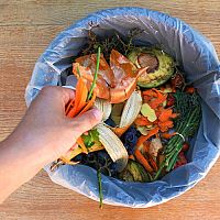 Odpadkové koše do kuchyně, dětského pokoje nebo na zahradu. Jak vybrat ten nejlepší?