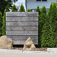 Živý plot z tújí, habru, smrku nebo muchovníku. Které jsou vhodné rostliny?