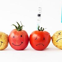 Co je to diagnostika potravin a jak si vybrat ten nejlepší přístroj?