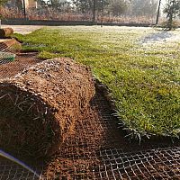 Jakou síť proti krtkům – návod, jak uložit, zkušenosti, cena