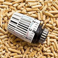 Biomasa jako zdroj energie – výhody a nevýhody topení biomasou