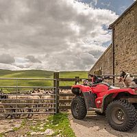 Čtyřkolka na práci i volný čas – jak vybrat, využití. Je potřebný řidičák?
