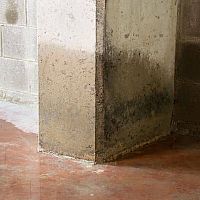 Jak se zbavit zápachu ve sklepě z vlhka, plísně, kanalizace