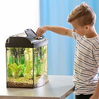 Krmivo pro ryby v akváriu – nejlepší mražené, granulované a domácí krmivo pro rybičky