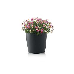 Antracitově šedý květináč s pojízdnými kolečky Gardenico Ella Twist'n'Roll Smart System, ø 40 cm