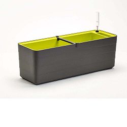 Antracitovo-zelený samozavlažovací truhlík Plastia Berberis , délka 78 cm