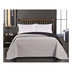 Černo-šedý oboustranný přehoz z mikrovlákna DecoKing Paul, 170 x 210 cm