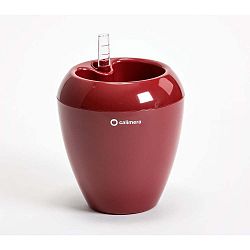 Červený samozavlažovací květináč Plastia Calimera Camay, ø 17 cm