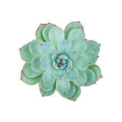 Dekorativní prostírání z jutových vláken Madre Selva Green Suculenta