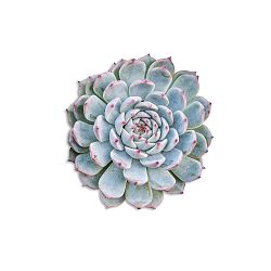 Dekorativní prostírání z jutových vláken Madre Selva Purple Suculenta