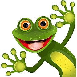 Dekorativní samolepka na zeď a kachličky ve tvaru žáby, 50 x 50 cm