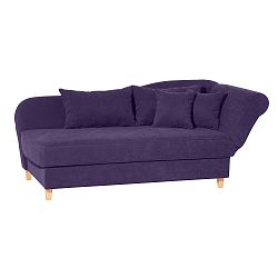 Fialová lenoška se sedem na levé straně Max Winzer Selma