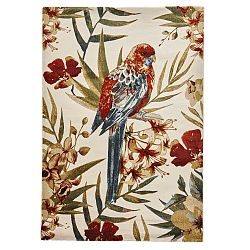 Koberec s barevným motivem Think Rugs Tropics,  120 x 170 cm