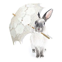 Nástěnná samolepka Dekornik Harry Is Singing In The Rain