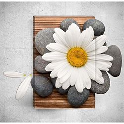 Nástěnný 3D obraz Mosticx Daisy With Pebbles, 40 x 60 cm