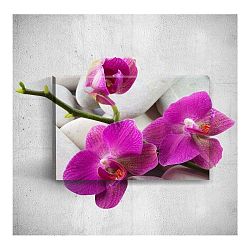 Nástěnný 3D obraz Mosticx Pebbles With Three Flowers, 40 x 60 cm