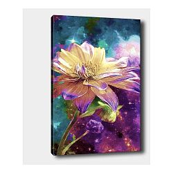 Nástěnný obraz na plátně Tablo Center Flower, 40 x 60 cm