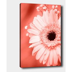 Nástěnný obraz na plátně Tablo Center Gerbera Right, 40 x 60 cm
