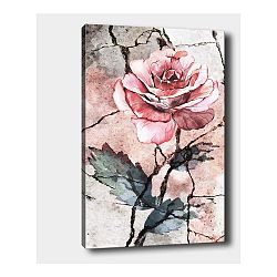 Nástěnný obraz na plátně Tablo Center Rose, 40 x 60 cm