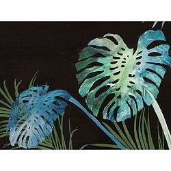 Nástěnný obraz SantiagoPons Plants Bobby, 80 x 80 cm