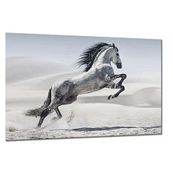 Obraz Styler Glasspik Glasspik Animals Horse, 80 x 120 cm