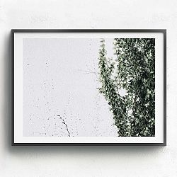 Obraz v dřevěném rámu HF Living Tabaiba, 30 x 40 cm