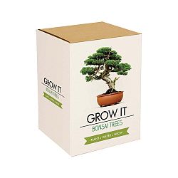 Pěstitelský set se semínky bonsaje Gift Republic Bonsai Trees