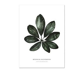 Plakát Leo La Douce Schefflera Arboricola, 21 x 29,7 cm