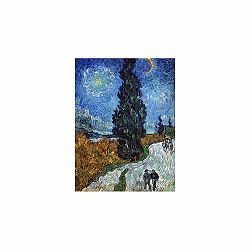 Reprodukce obrazu 45x60 cm Country road in Provence by night - Fedkolor