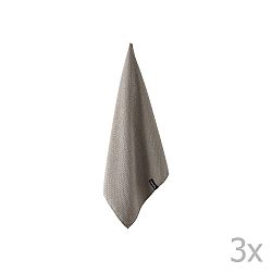 Sada 3 šedých kuchyňských utěrek Ladelle Dish, 35 x 35 cm