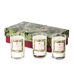 Sada 3 svíček s vůní pelargónie a tuberózy Bahoma London Oasis Leighton, 30 hodin hoření