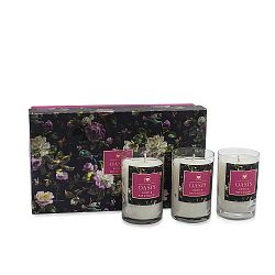 Sada 3 svíček s vůní růže a pačuli Bahoma London Oasis Renaissance, 30 hodin hoření