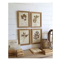 Sada 4 obrazů v dřevěných rámech Orchidea Milano Botanica, 30 x 40 cm