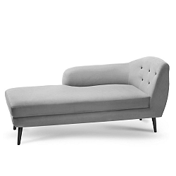 Šedá lenoška Constellation se sedem na levé straně